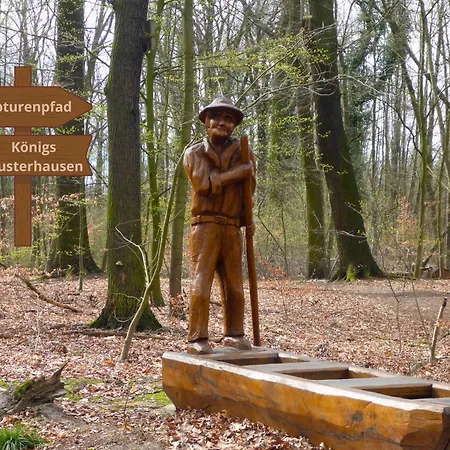 Relaxrefugium Luxus - Kueche, Arbeitsplaetze, Stellplatz & Komfort Fuer Bis 6 Gaeste Lägenhet